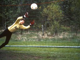 0DIA 1986 RAVA C1